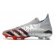 Buty Piłkarskie Adidas Predator Freak.1 FG Srebro Czarny Niebieski